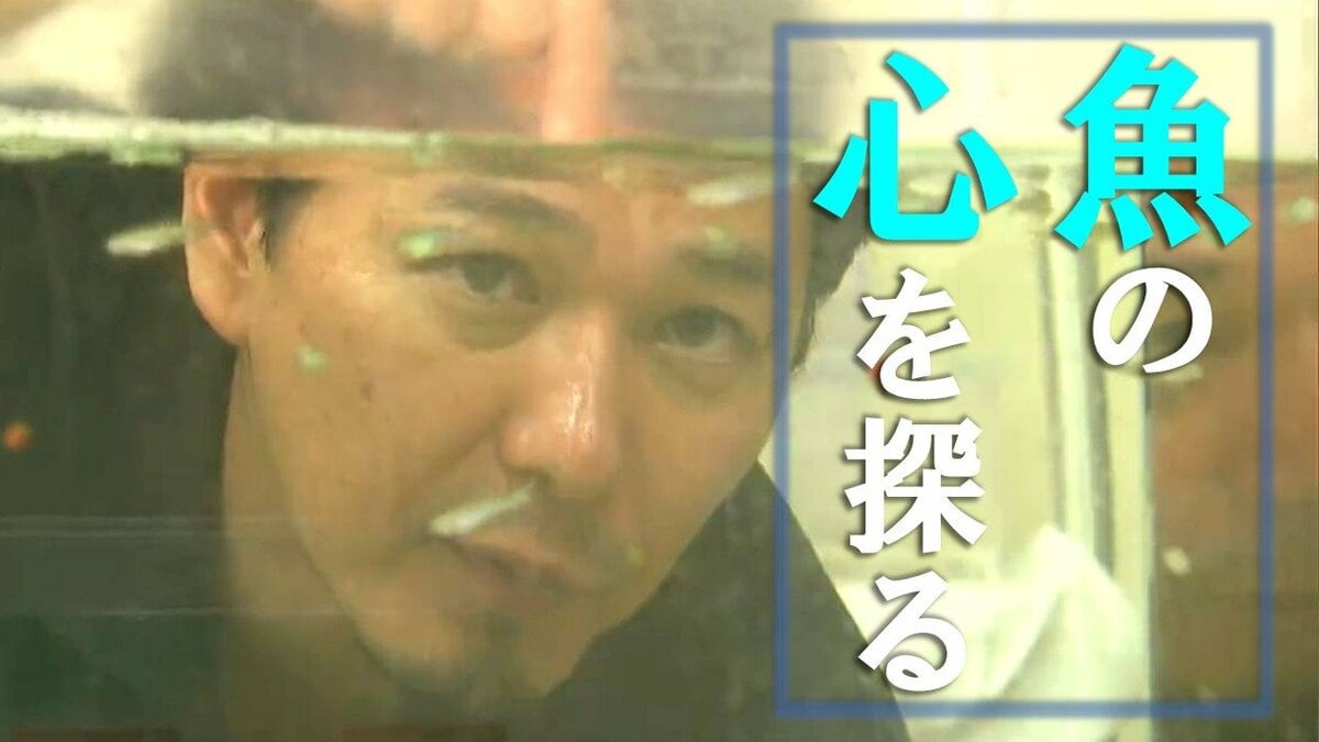 魚に「心」はある？ “釣られた記憶” は2か月以上保持 新潟大学・高橋