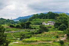 大阪府で“たったひとつの村”「千早赤阪村」には何がある？