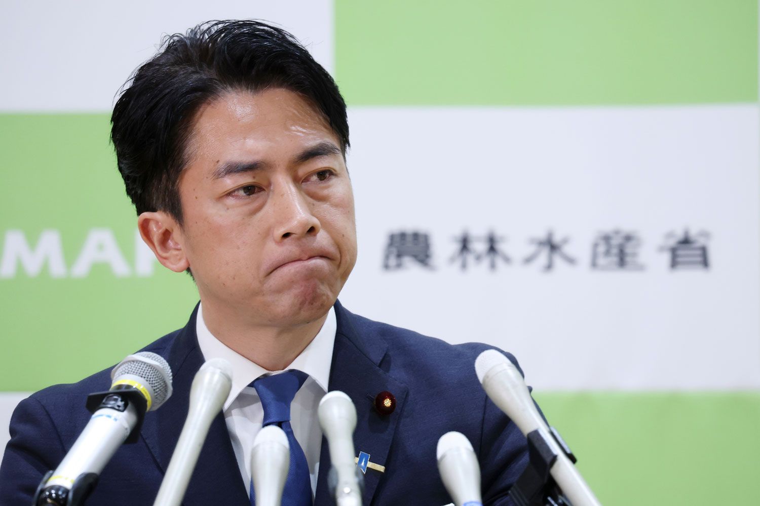 日本のコメ問題は｢自作自演｣