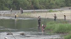 130人が釣果を競う　清流で鮎の友釣り大会開催