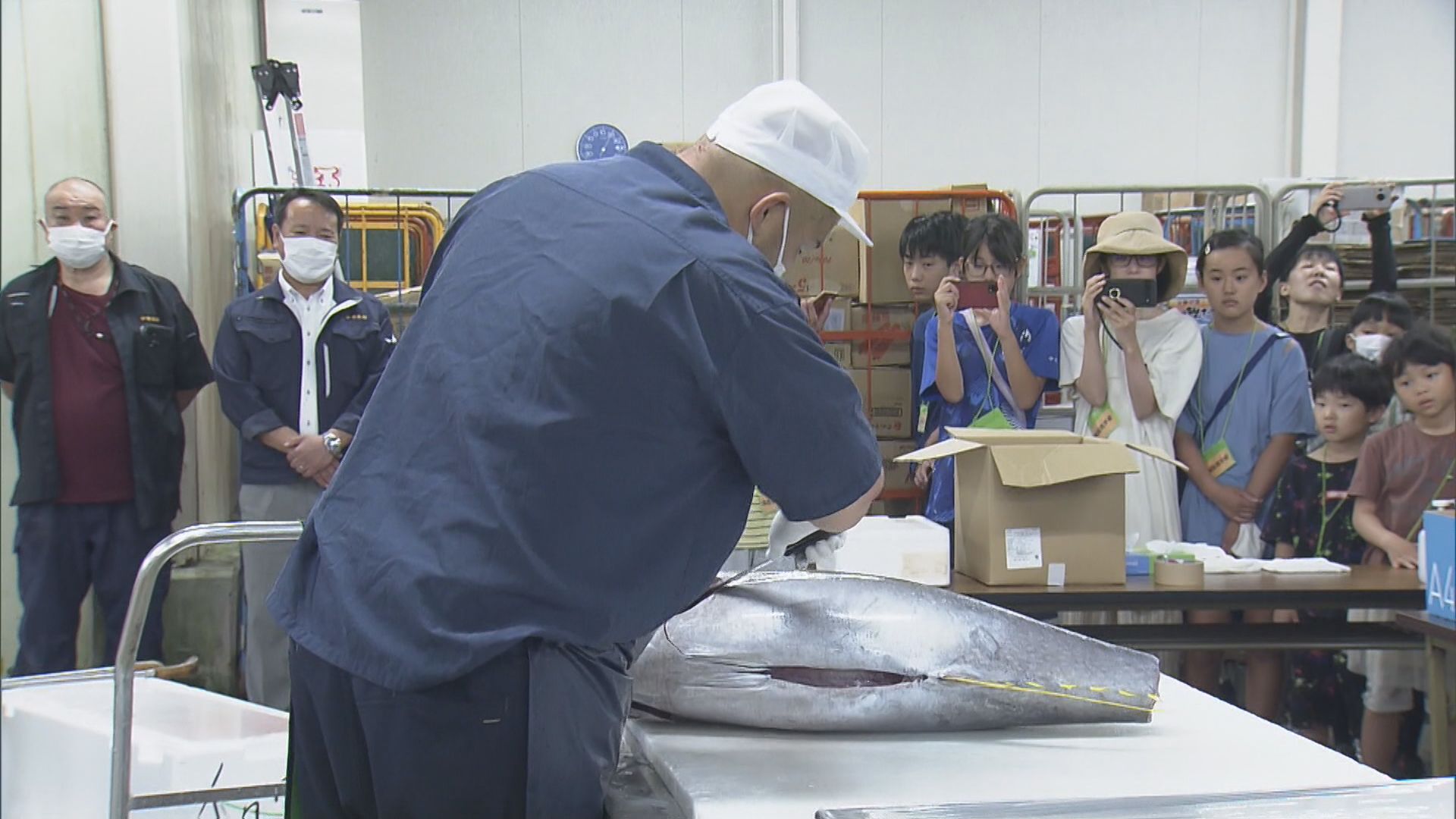 朝早い市場の仕事　親子で見学　マグロの試食も