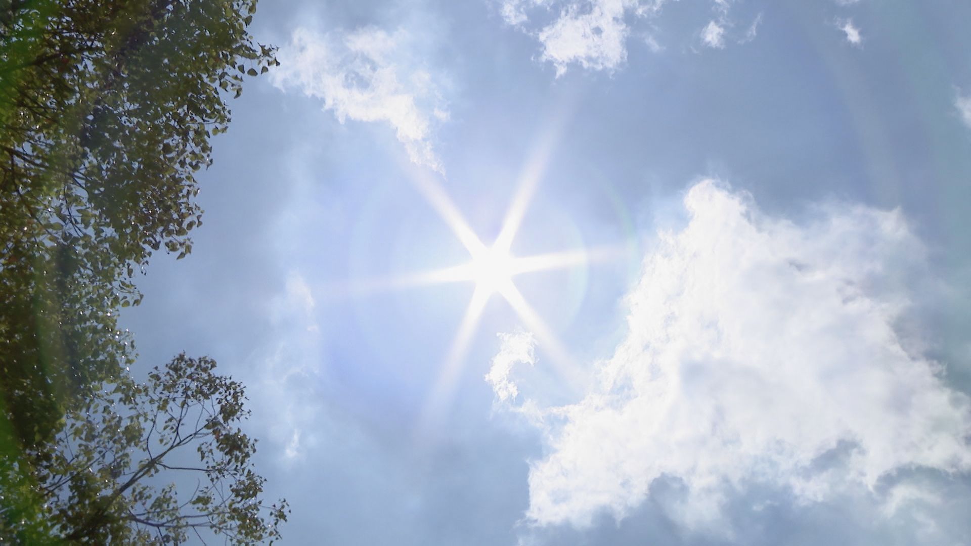 東海地方は各地で危険な暑さ　愛知・豊田市で最高気温39℃超