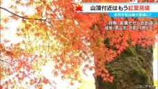 3連休に楽しめる東海3県の「紅葉」スポット  飛騨・美濃せせらぎ街道は例年より10日ほど遅れて見頃に