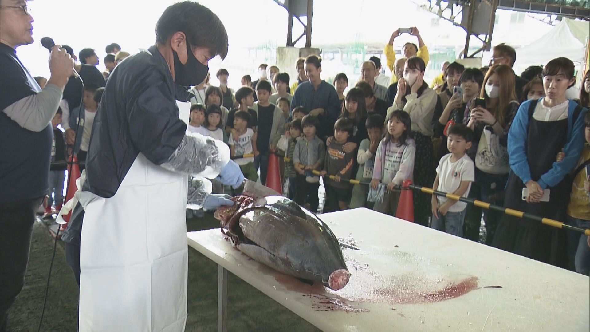 ことしも開催　“魚まつり”　新鮮なマグロやハマチなど　クイズや解体ショーも！　三重・尾鷲市　