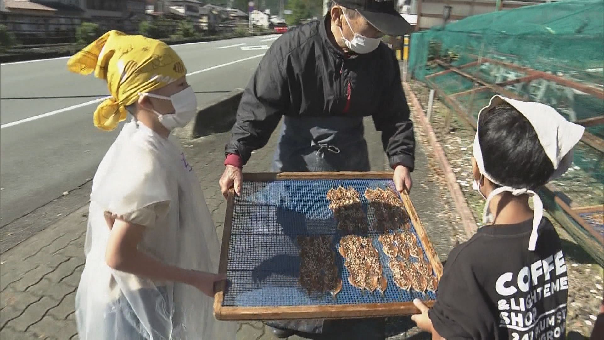 小学生が干物作りに挑戦　刃物使わずアジを開いてみりん干し「骨を取るところが難しかった」 三重・尾鷲市