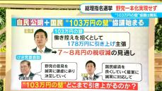 どうなる103万円の壁「総理指名選挙」野党の一本化実現せず  決選投票で自民党の石破総裁が再び総理大臣に