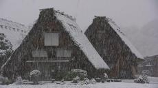 世界遺産 白川郷が雪化粧　合掌造りの家屋が白く染まる　東海地方で1センチ以上の積雪観測は今季初