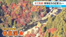 まだ見頃！紅葉を空からチェック！香嵐渓・東山動植物園・“ぎんなん生産量日本一”の町は 桜沢気象予報士×モミジ