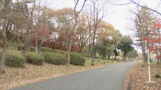 豊田市の公園で猟友会の男性襲ったイノシシか？　捕獲・殺処分される