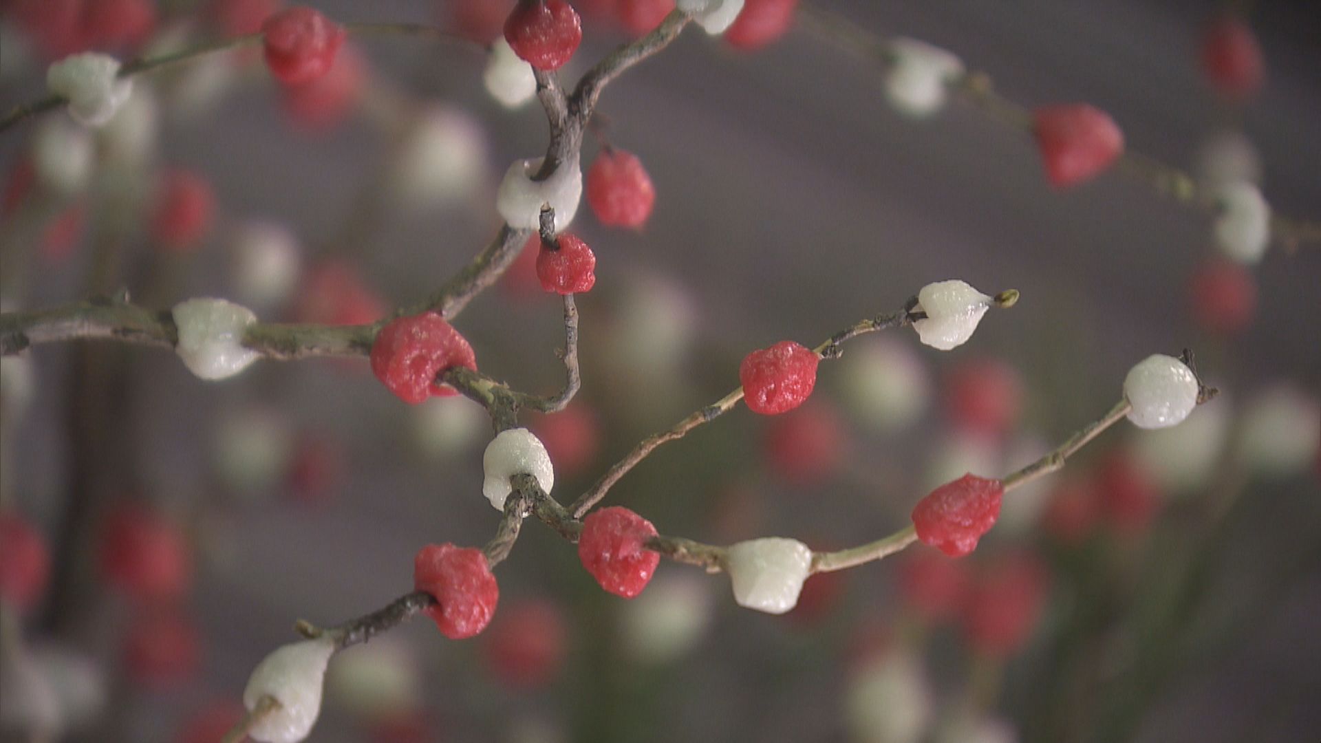 紅白で正月を飾る「花もち」の初競り  花の入手が困難だった飛騨地方の伝統　岐阜・高山市