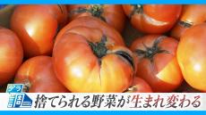 野菜高騰のウラで急増する“規格外” 捨てられる野菜で新商品「味をより強く」