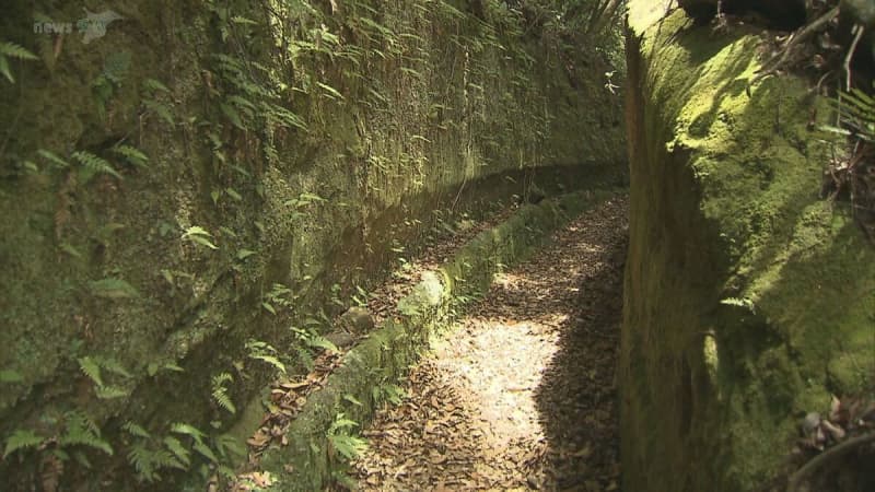 110番映像通報システム 山岳遭難にも活用を