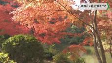 紅葉迎え 250本の木々が見ごろに／成田市・成田山公園