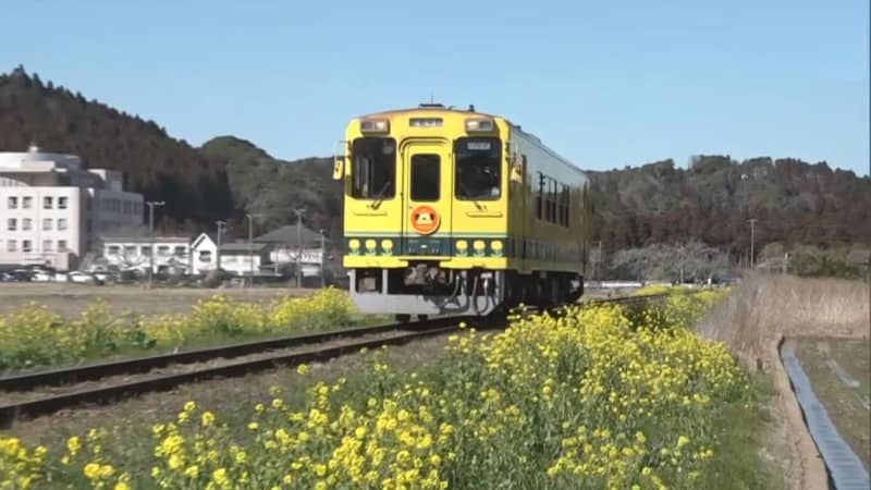 いすみ鉄道　春の到来告げる菜の花見ごろ　千葉