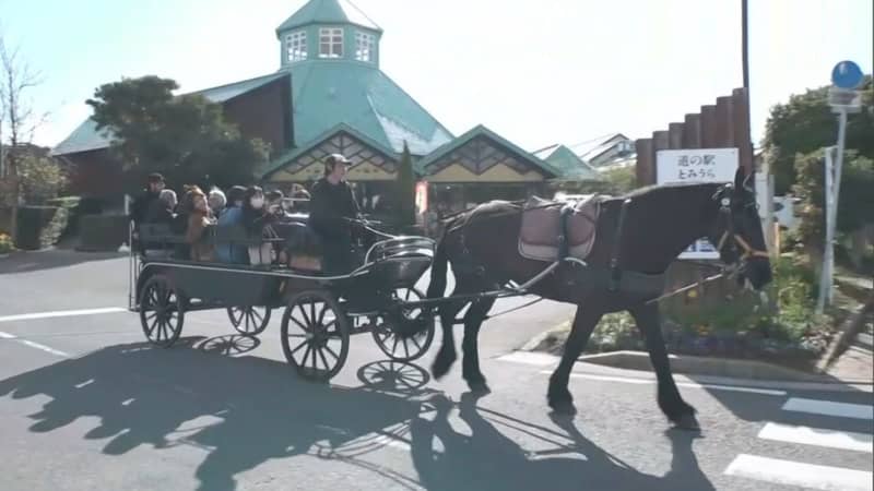 千葉県南房総市　海沿いで馬車を走らせ町おこし