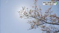 県内各地で青空 広い範囲で”春本番の陽気” に／千葉県