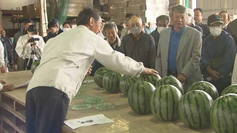 千葉県富里市“夏の味覚”出荷シーズン到来