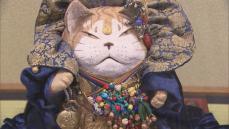 新緑の庭園で猫たちのお祭り 松山庭園美術館・千葉県匝瑳市