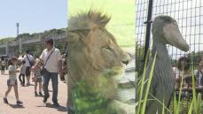 物価高の影響はこんなところにも…　千葉市動物公園が大人入園料を値上げ