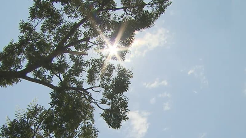 市原市牛久で３９℃で猛暑日　熱中症疑いは５１人　千葉県
