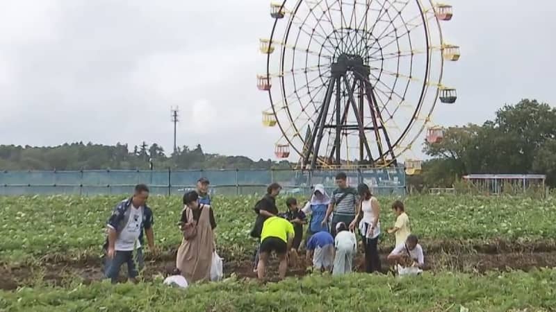 東京ドイツ村で“秋の味覚”収穫体験　千葉県袖ケ浦市