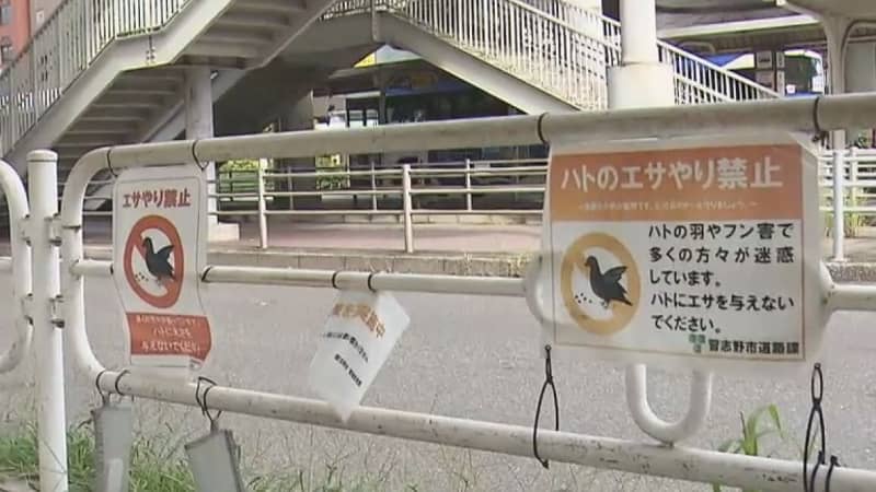 ハトの餌やり規制へ条例目指す　違反者には過料も　千葉県習志野市