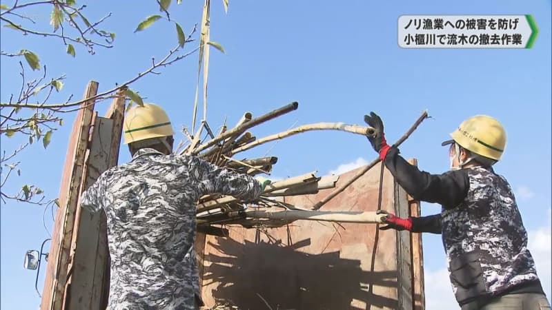 ノリ漁業への被害を防げ 小櫃川で流木の撤去作業　千葉県木更津市