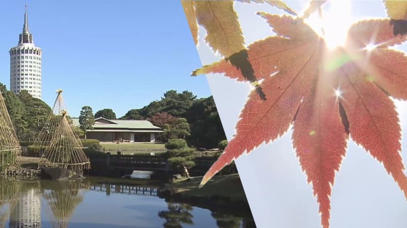 都心エリアにも秋景色　「見浜園」の紅葉　幕張新都心の日本庭園