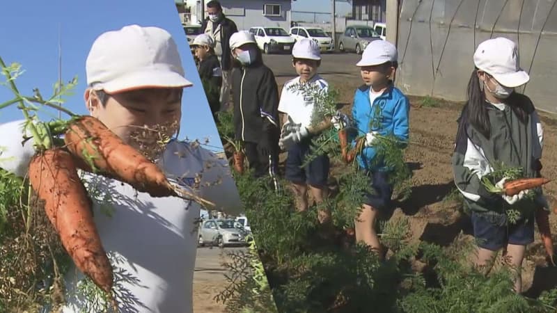 「ニンジン探すの楽しかった！」　小学生が特産品の“富里ニンジン”を収穫　　