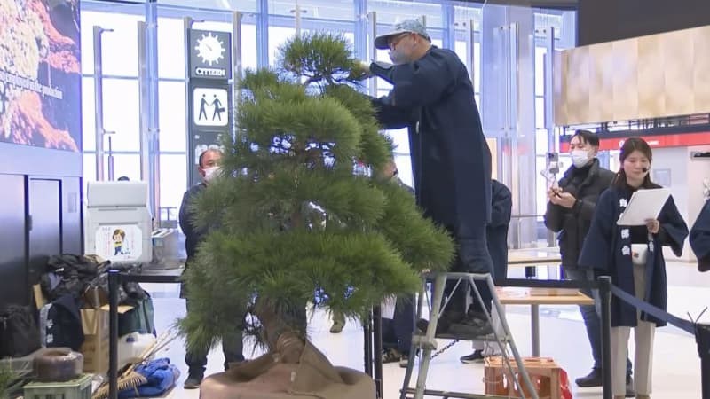 成田空港ターミナルに日本庭園　千葉県産植木をＰＲ　”匠の技”も披露