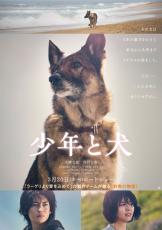 大切な人のもとへ… 高橋文哉＆西野七瀬W主演『少年と犬』特報 公開日は3月20日に