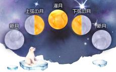 獅子座の満月は、挑戦する勇気が湧くとき… 1月29日 満月～2月5日 下弦の月【ムーンバイオリズム占い】