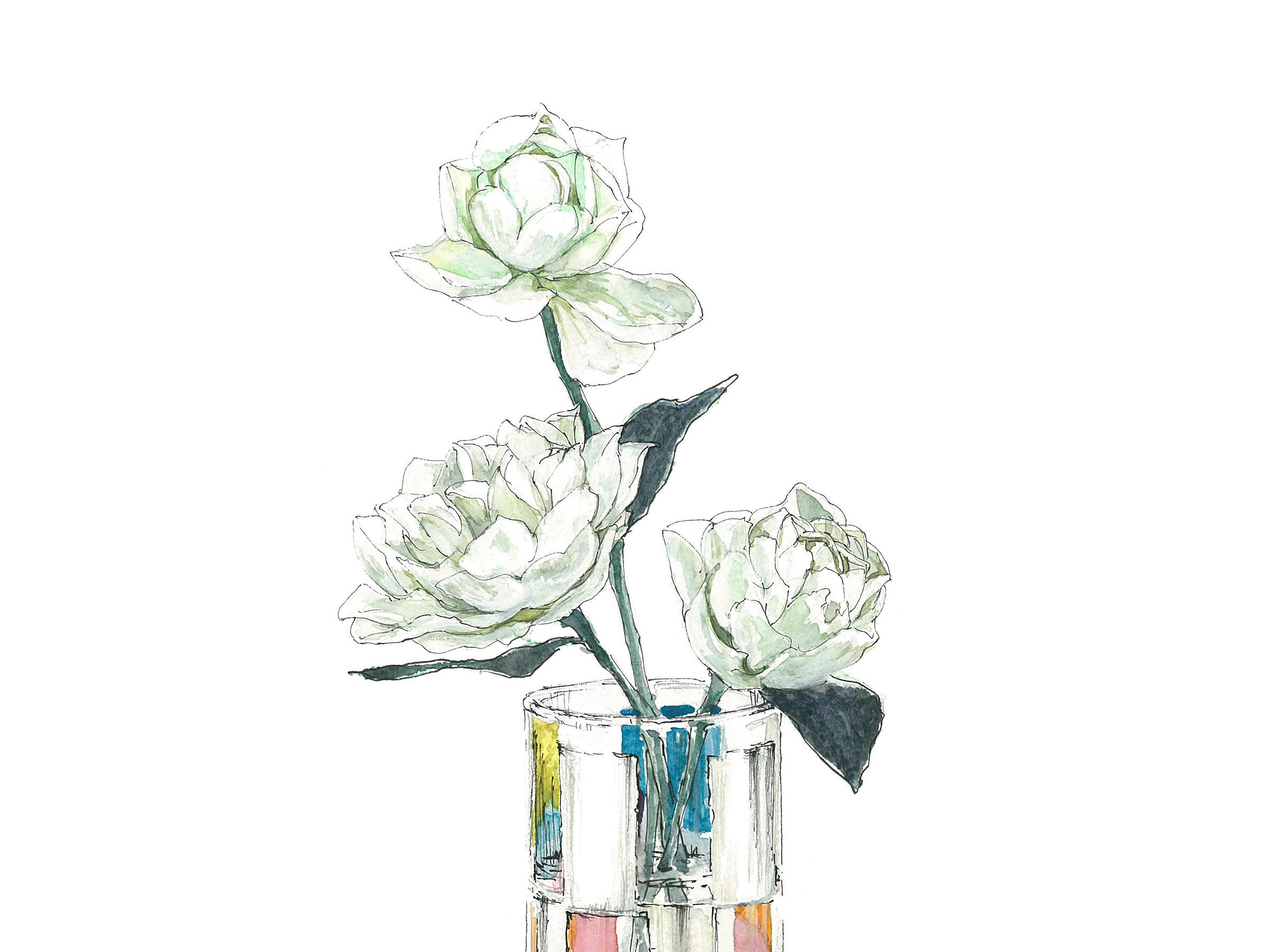 【5月15日の花】フィオナ ガラス細工のような繊細で美しいバラ
