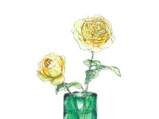 【5月30日の花】ジャンヌダルク カップ咲きで可愛い黄色のバラ