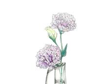 【5月31日の花】せみしぐれ 紫色の絞り模様が美しい涼やかな花