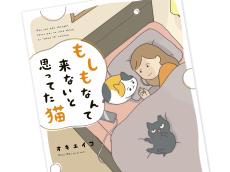 猫好きたちを共感の渦に巻き込んだ 漫画家・オキエイコさんの話題作！ 「もしも」に備え飼い主ができること