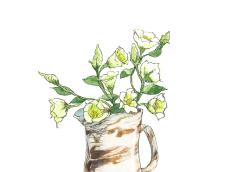 【6月17日の花】セシルグリーン 可憐な一重咲きのリシアンサス