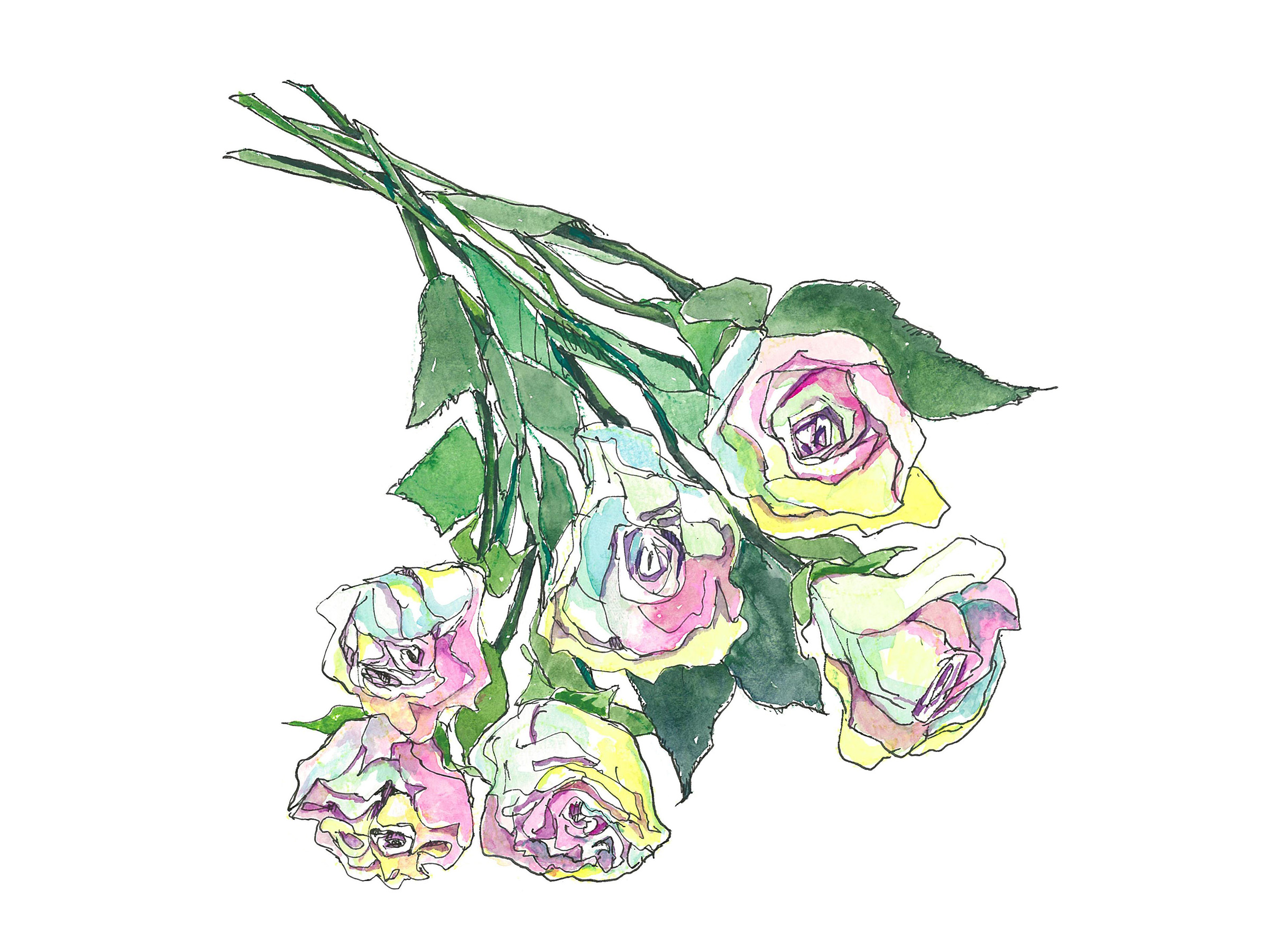 【6月28日の花】レインボー色のバラ 花言葉は「無限の可能性」！