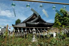 【奈良県 2024年版】 夏の絶景・風物詩10選 涼を感じる“おふさ観音”約2,500個の風鈴まつり