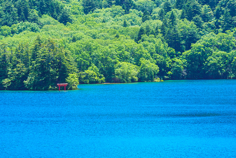 【長野県 2024年版】 夏の絶景・風物詩10選「大沼池」群青の湖面に浮かぶ赤い鳥居が印象的