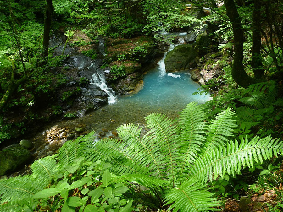 【栃木県 2024年版】 夏の絶景・風物詩10選 美しき渓谷神秘的な「スッカンブルー」の世界へ