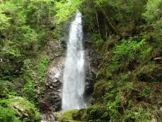 【東京都 2024年版】 夏の絶景・風物詩10選 東京で唯一 日本の滝百選に選ばれた名瀑で涼む