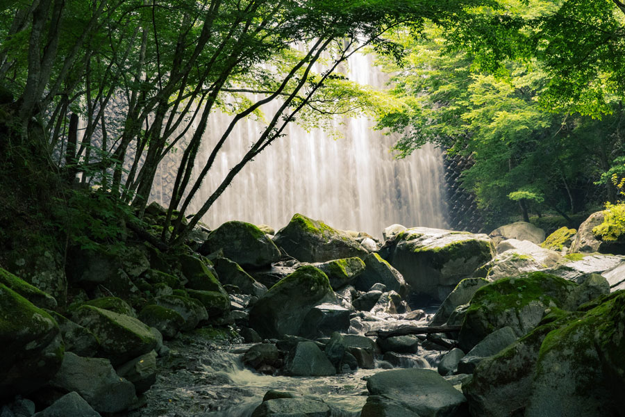 【神奈川県 2024年版】 夏の絶景・風物詩10選 心も体も涼む 西丹沢の秘峰とも呼ばれた畦ヶ丸山