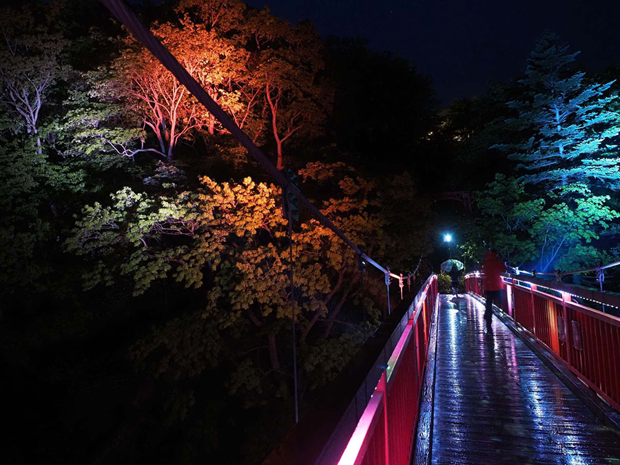 【北海道 2024年版】 夏の絶景・風物詩10選「定山渓」光のパフォーマンスで彩られた世界へ