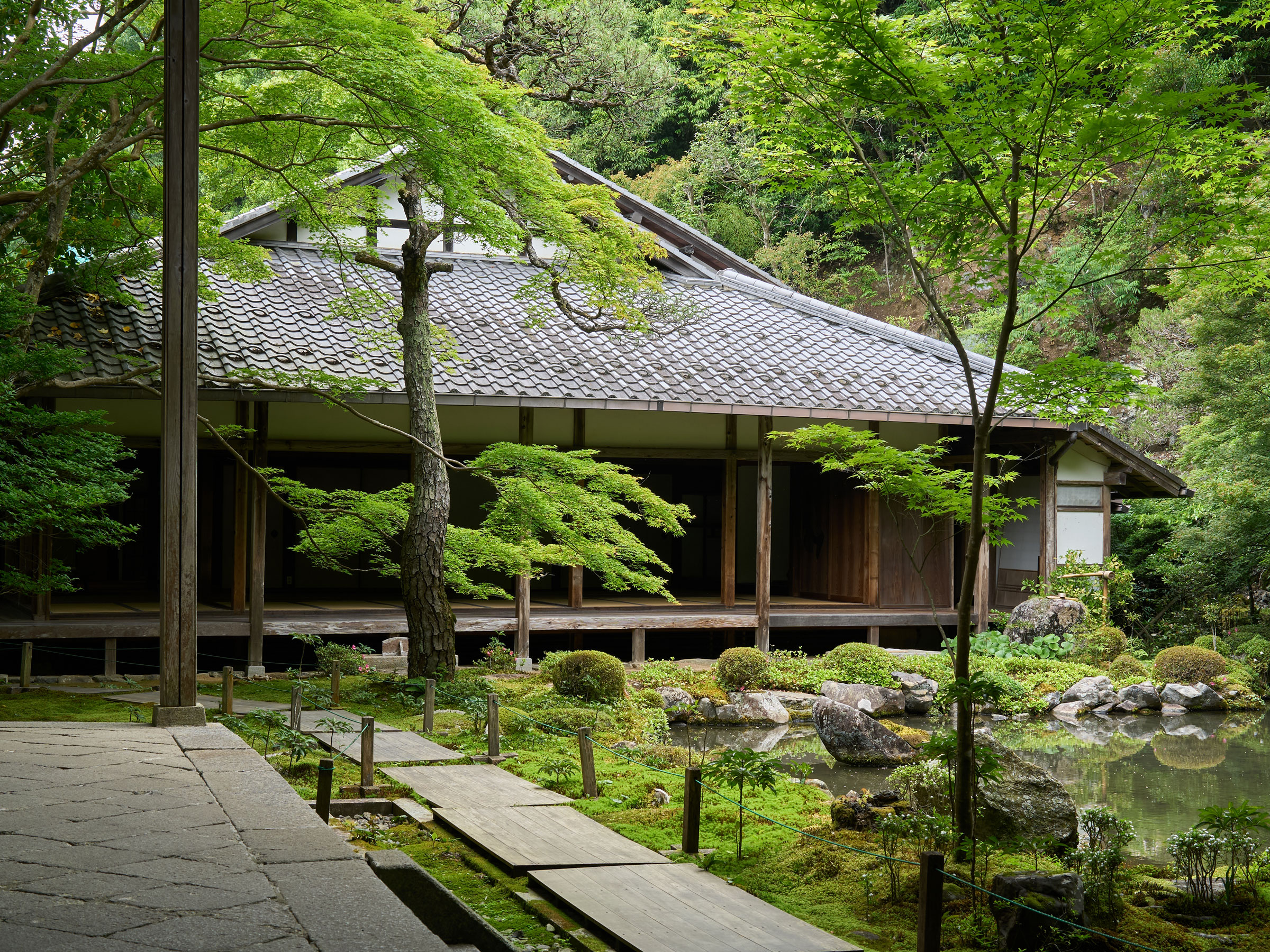 “30年目の京都旅”で癒しを堪能 新緑眩しい蓮華寺とスフェラのカフェ で心を整え、丁寧な時間を過ごす