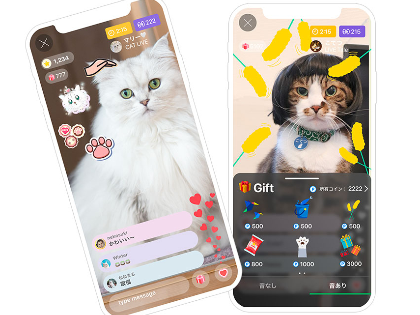 日本初の“猫だけのライブ配信アプリ”「nekochan」が気になる！［猫を愛したくなる26のトリビア］