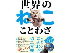 「猫を嫌う人には気をつけろ」？世界に伝わる猫のことわざが面白い［猫を愛したくなる26のトリビア］