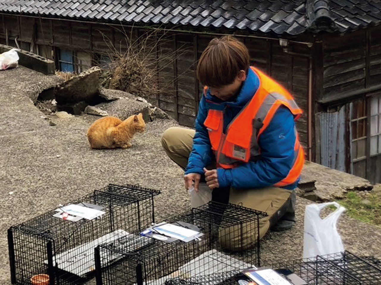 地震のとき、大事な愛猫をどう守る？「ハーネスに慣れさせて。非常フードは玄関に」災害ペット救助隊が語る