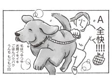 2024年秋に読みたい「動物」マンガ18選 犬猫から“謎の生物”まで、疲れた心を満たしてくれる「いきもの」が集合！