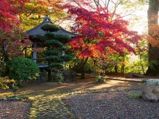 【神奈川県 2024年版】 秋の絶景・風物詩10選 北鎌倉を代表する円覚寺の紅葉はフォトジェニック